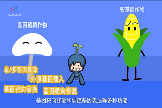 无标题_1.png