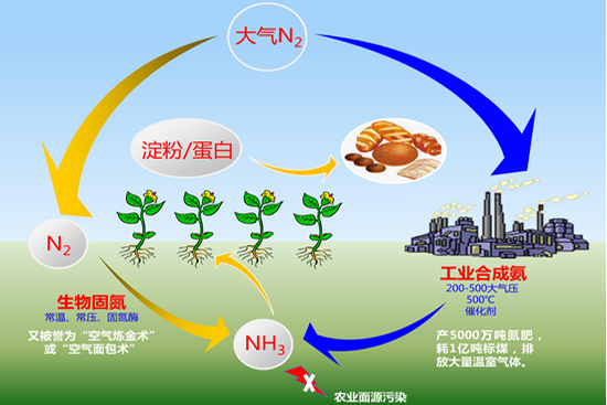 无标题_1.png